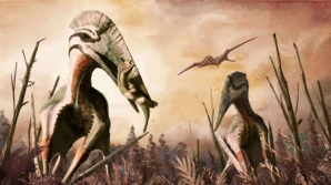 Descoperire UNICĂ! Cercetătorii sunt ULUIȚI de ce au găsit 