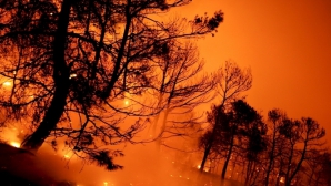 DEZASTRUL din Chile. Visele şi speranţele oamenilor, DISTRUSE de flăcări. Localnicii SUNT DISPERAŢI