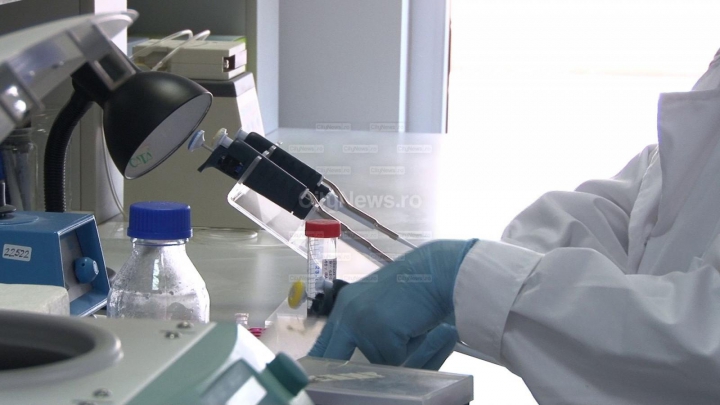 PREMIERĂ UIMITOARE! Cercetătorii au creat embrioni micști umani și de porc