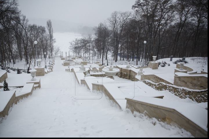 VISCOL PUTERNIC şi NINGE! Iarna a pus stăpânire pe ţară! Cum se circulă în Capitală şi ce spun meteorologii