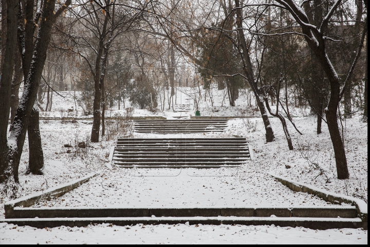 VISCOL PUTERNIC şi NINGE! Iarna a pus stăpânire pe ţară! Cum se circulă în Capitală şi ce spun meteorologii