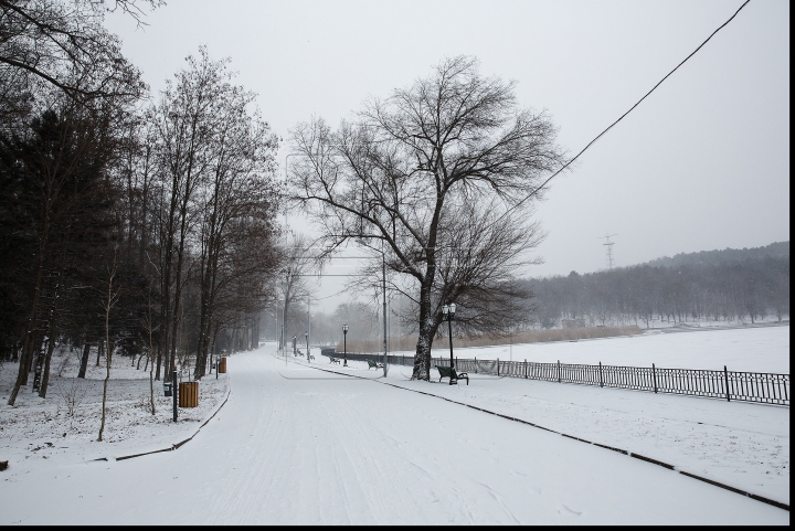 VISCOL PUTERNIC şi NINGE! Iarna a pus stăpânire pe ţară! Cum se circulă în Capitală şi ce spun meteorologii