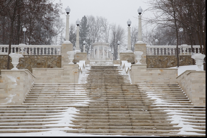 VISCOL PUTERNIC şi NINGE! Iarna a pus stăpânire pe ţară! Cum se circulă în Capitală şi ce spun meteorologii