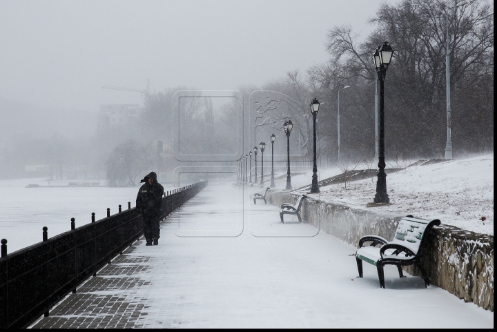 VISCOL PUTERNIC şi NINGE! Iarna a pus stăpânire pe ţară! Cum se circulă în Capitală şi ce spun meteorologii