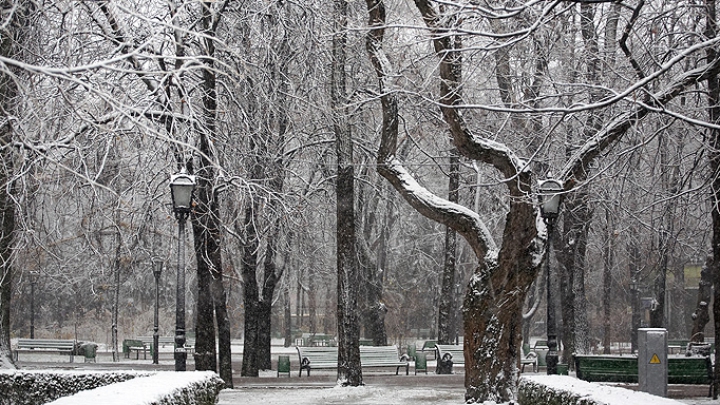 Surprizele vremii pentru următoarele zile. Câte grade vor indica termometrele