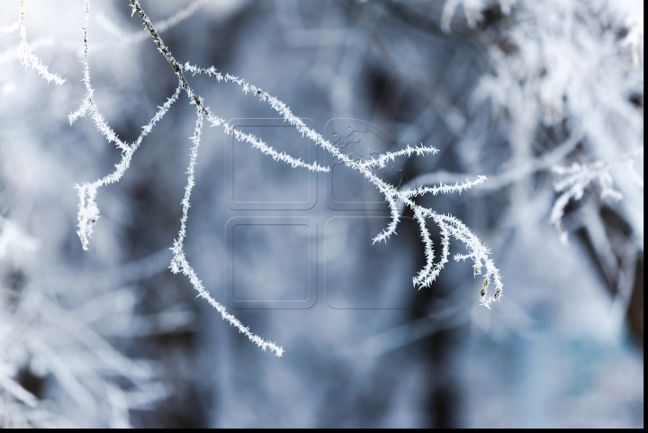 VISCOL PUTERNIC şi NINGE! Iarna a pus stăpânire pe ţară! Cum se circulă în Capitală şi ce spun meteorologii