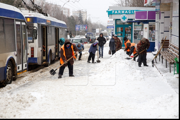 VISCOL PUTERNIC şi NINGE! Iarna a pus stăpânire pe ţară! Cum se circulă în Capitală şi ce spun meteorologii