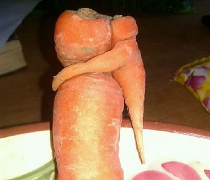 O ÎMBRĂŢIŞARE SURPRINZĂTOARE. Iată ce a găsit un bărbat când gătea (FOTO)