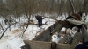 Un moldovean, prins în timp ce tăia ilegal mai mulţi copaci. Ce intenţiona să facă cu lemnele