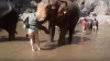 Momente de groază pentru o turistă! O femeie a fost atacată de un elefant (VIDEO)