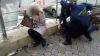 AU AGRESAT un bărbat în plină stradă. Doi suspecţi, încătuşaţi de poliţişti în Capitală (VIDEO)