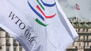 Noi tensiuni între Ucraina şi Rusia. Kievul a dat în judecată Kremlinul la OMC