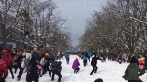 Au ajuns acasă cu vânătăi! Studenții unui campus au organizat o BĂTĂLIE GENERALĂ CU BULGĂRI (VIDEO)