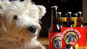 O nouă campanie: Adoptă un câine și primești o ladă cu bere personalizată