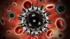 Leguma banală care poate distruge 14 tipuri de celule canceroase