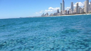 FENOMEN BIZAR pe coastele Australiei. Incredibil ce a descoperit această femeie pe plajă