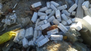 Caz ÎNGRIJORĂTOR! Tone de medicamente pentru afecțiuni psihice, găsite în pădure