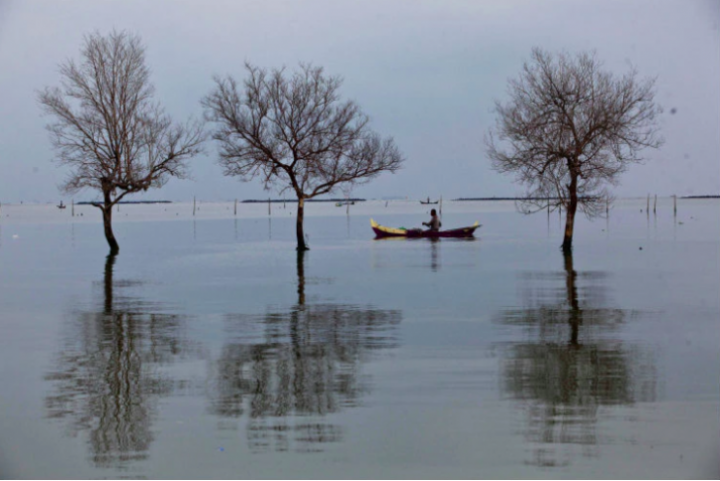 Cele mai DRAMATICE consecinţe ale încălzirii globale. Cum se schimbă natura şi clima (FOTO)