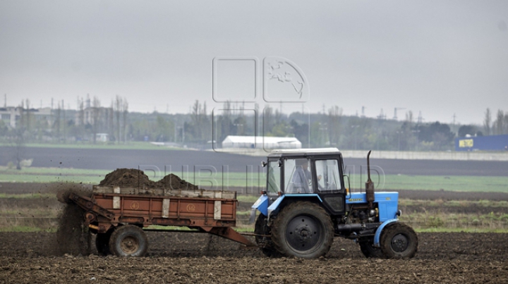 Moldova va beneficia de un grant de 4,8 milioane de dolari pentru dezvoltarea agriculturii conservative