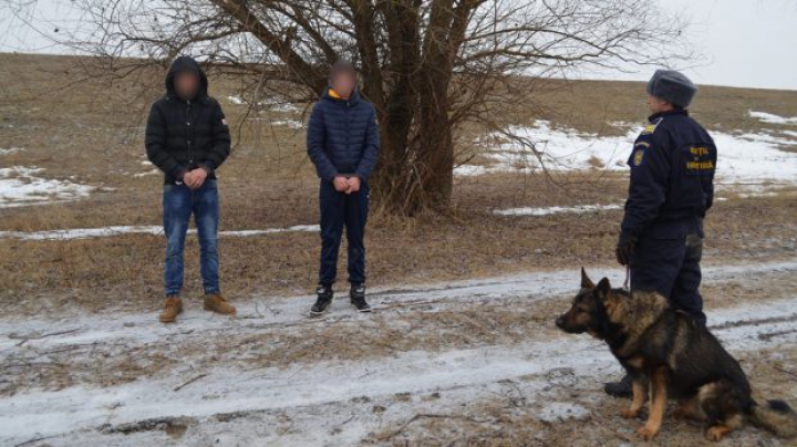 INGENIOZITATE MAXIMĂ! Metoda prin care doi moldoveni au trecut peste Prut mii de pachete de țigări