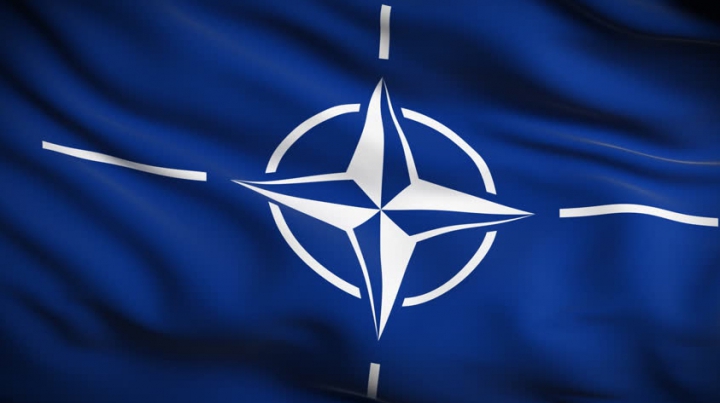 NATO a lansat un program de instruire anti-explozibili pentru forțele irakiene