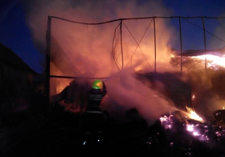 INCENDIU DE PROPORŢII la Anenii Noi! Mai multe animale AU ARS DE VII, după ce un grajd a fost cuprins de flăcări