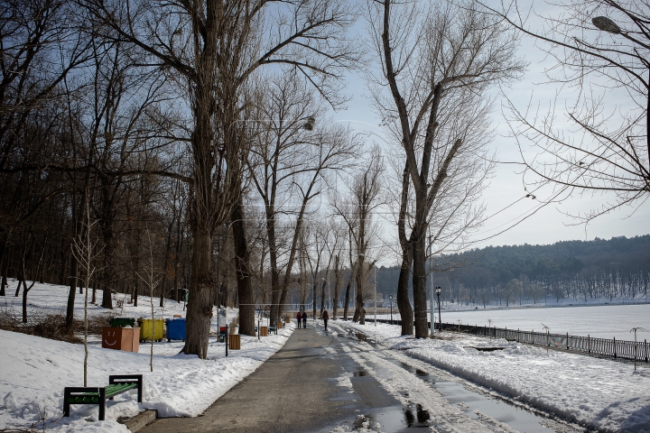 Ploi şi ceaţă! Cum va fi vremea în următoarele zile (FOTOREPORT)