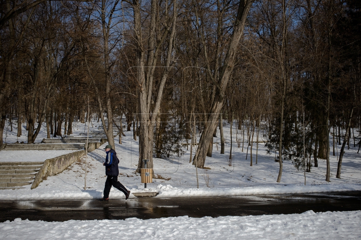 Ploi şi ceaţă! Cum va fi vremea în următoarele zile (FOTOREPORT)