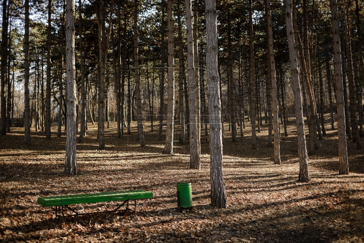 A sosit și ultima zi de iarnă calendaristică. De mâine avem PRIMĂVARĂ (FOTOREPORT)