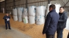 AVERTISMENTUL Ministerului Agriculturii: Fiți atenți când cumpărați semințe de porumb (FOTO)