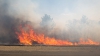 Pompierii, în ALERTĂ! Zeci de hectare de vegetaţie au ars în toată ţara