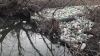 Bîcul, transformat în râu de PET-uri. Imagini cu dezastrul ecologic din Chișinău (FOTO/VIDEO)