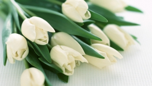 #LifeStyle: Recomandări pentru a alege buchetul de flori perfect pentru fiinţele dragi