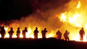 Cel mai distructiv incendiu de vegetaţie din Florida, provocat de un bărbat care a dat foc la niște cărți