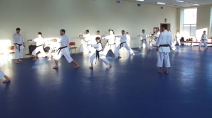 Luptătorii şi antrenorii de karate-do tradiţional din Moldova capătă experienţă de la Oleg Ţoi