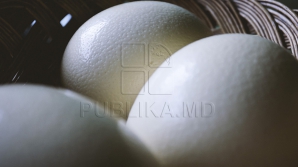 ŞOC pentru o tânără care a mușcat dintr-un ou de găină fiert. Ce a căzut din el (VIDEO) 