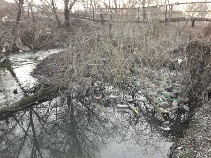 Bîcul, transformat în râu de PET-uri. Imagini cu dezastrul ecologic din Chișinău (FOTO/VIDEO)