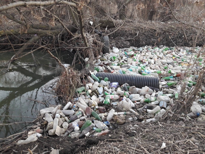 Bîcul, transformat în râu de PET-uri. Imagini cu dezastrul ecologic din Chișinău (FOTO/VIDEO)