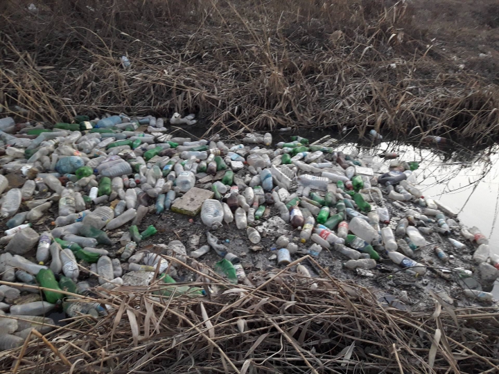 Bîcul, transformat în râu de PET-uri. Imagini cu dezastrul ecologic din Chișinău (FOTO/VIDEO)