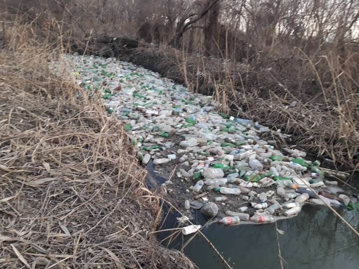 Bîcul, transformat în râu de PET-uri. Imagini cu dezastrul ecologic din Chișinău (FOTO/VIDEO)