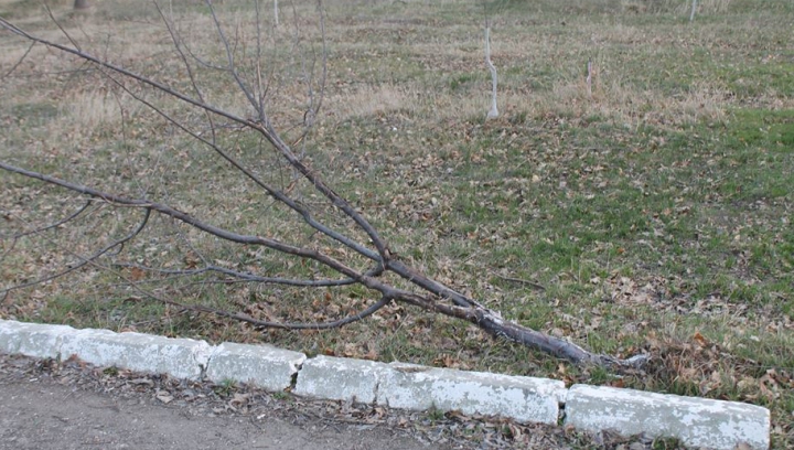 ACT DE VANDALISM la Căuşeni: Bănci rupte şi coşuri de gunoi distruse (FOTO)