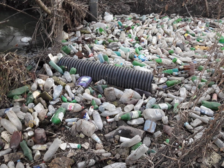 Bîcul, transformat în râu de PET-uri. Imagini cu dezastrul ecologic din Chișinău (FOTO/VIDEO)