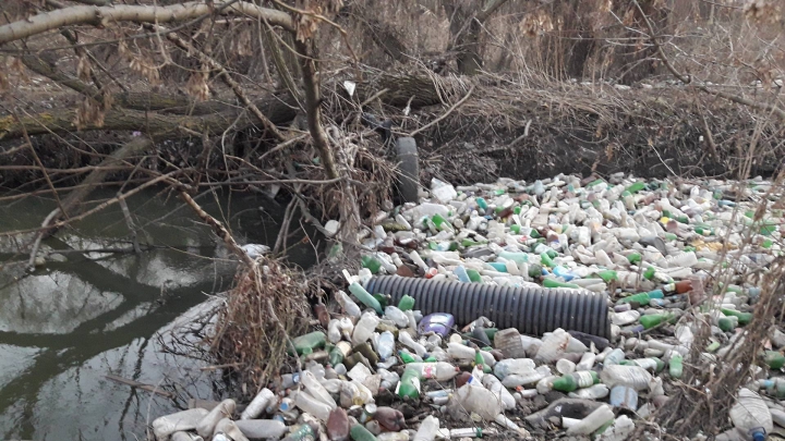 Bîcul, transformat în râu de PET-uri. Imagini cu dezastrul ecologic din Chișinău (FOTO/VIDEO)