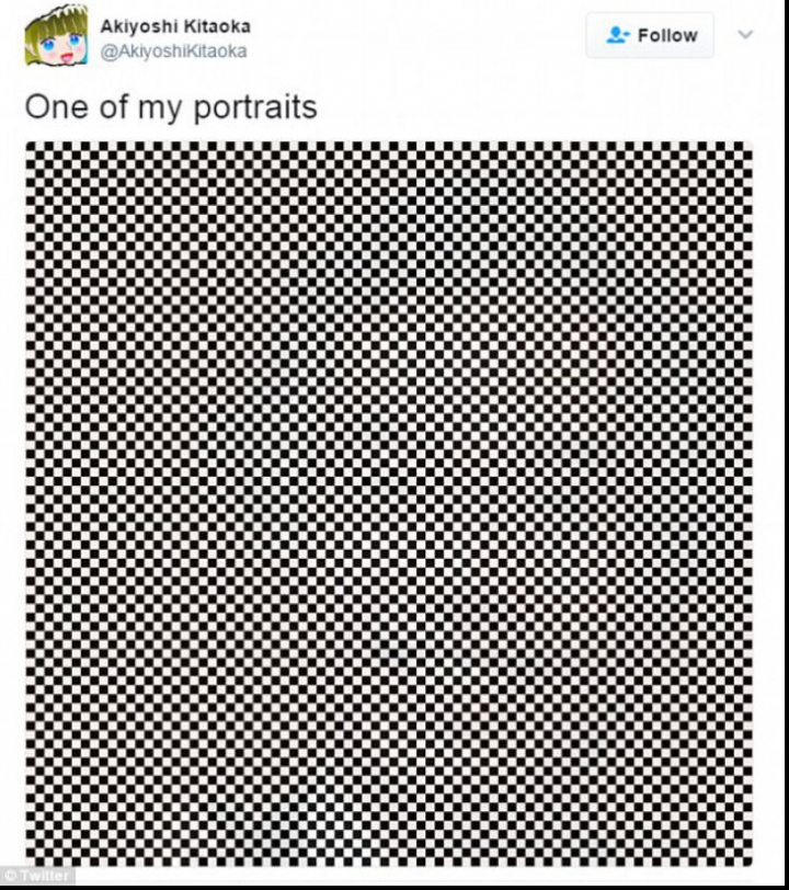 Poți găsi PORTRETUL OPTIC în această imagine? Un japonez a uluit lumea cu o ILUZIE OPTICĂ