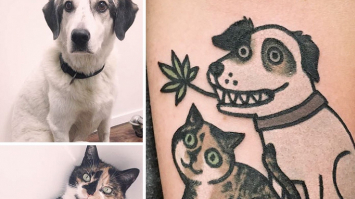 Cele mai AMUZANTE tatuaje! Un artist face portretele animalelor de casă ale clienților (GALERIE FOTO)