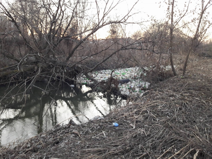 Bîcul, transformat în râu de PET-uri. Imagini cu dezastrul ecologic din Chișinău (FOTO/VIDEO)