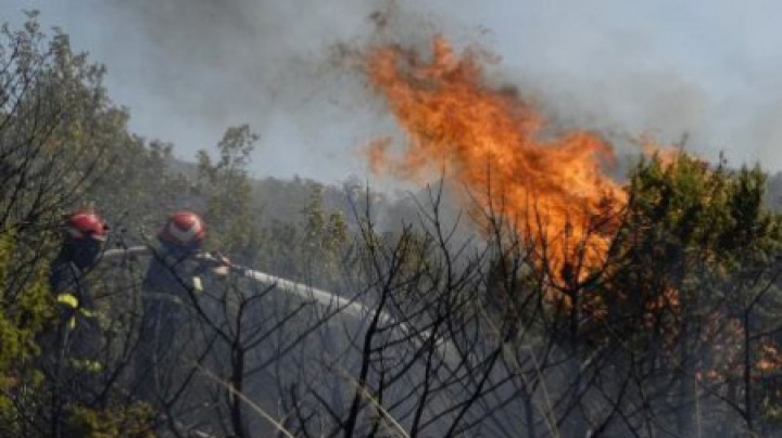  ALARMANT! Aproape 130 hectare de teren cu vegetație uscată au ars în Moldova (VIDEO)