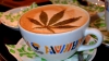 "E înşelătorie!" O cafenea riscă AMENDĂ USTURĂTOARE pentru frunza de cannabis desenată pe cafele
