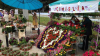 Festivalului "Parada florilor", la Cimișlia. Zeci de florari din țară au venit cu cele mai deosebite flori