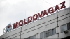 Anul trecut, Moldovagaz a obținut un profit de peste 260 de milioane de lei